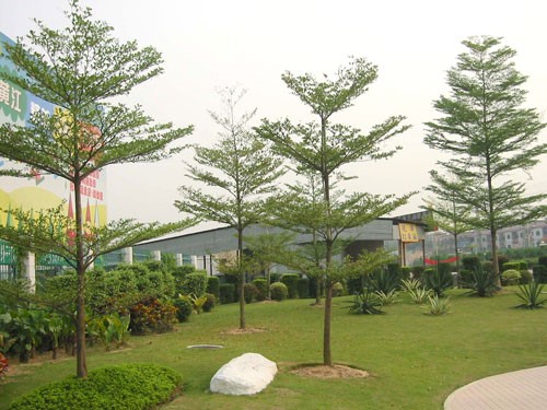 Bang-dai-loan-1